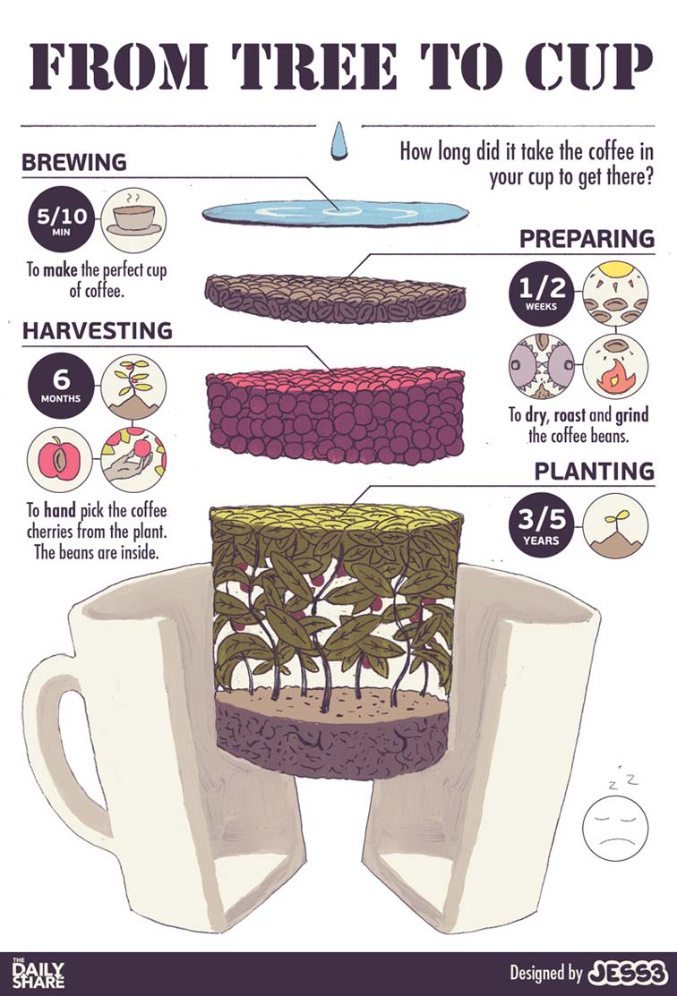 National Coffee Day Infographic 5621